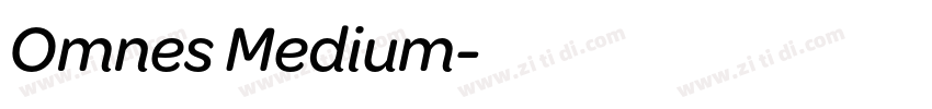 Omnes Medium字体转换